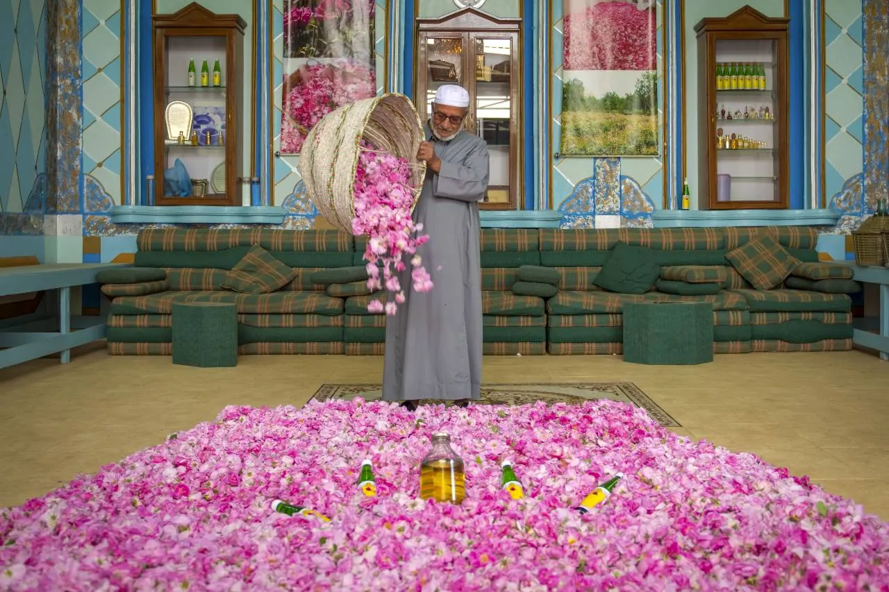 Al Taif Trip (Private day trips From Jeddah)